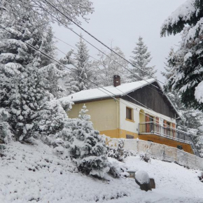 Maison vosgienne proche de la Bresse et Gerardmer Basse-Sur-Le-Rupt